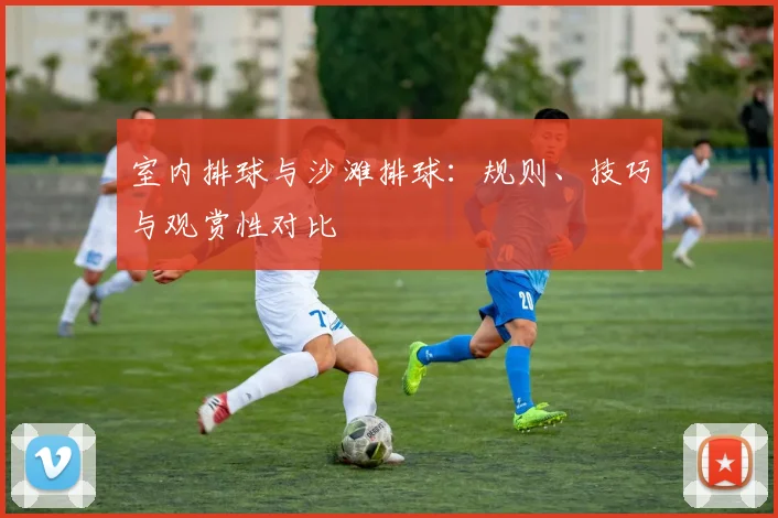 室内排球与沙滩排球：规则、技巧与观赏性对比